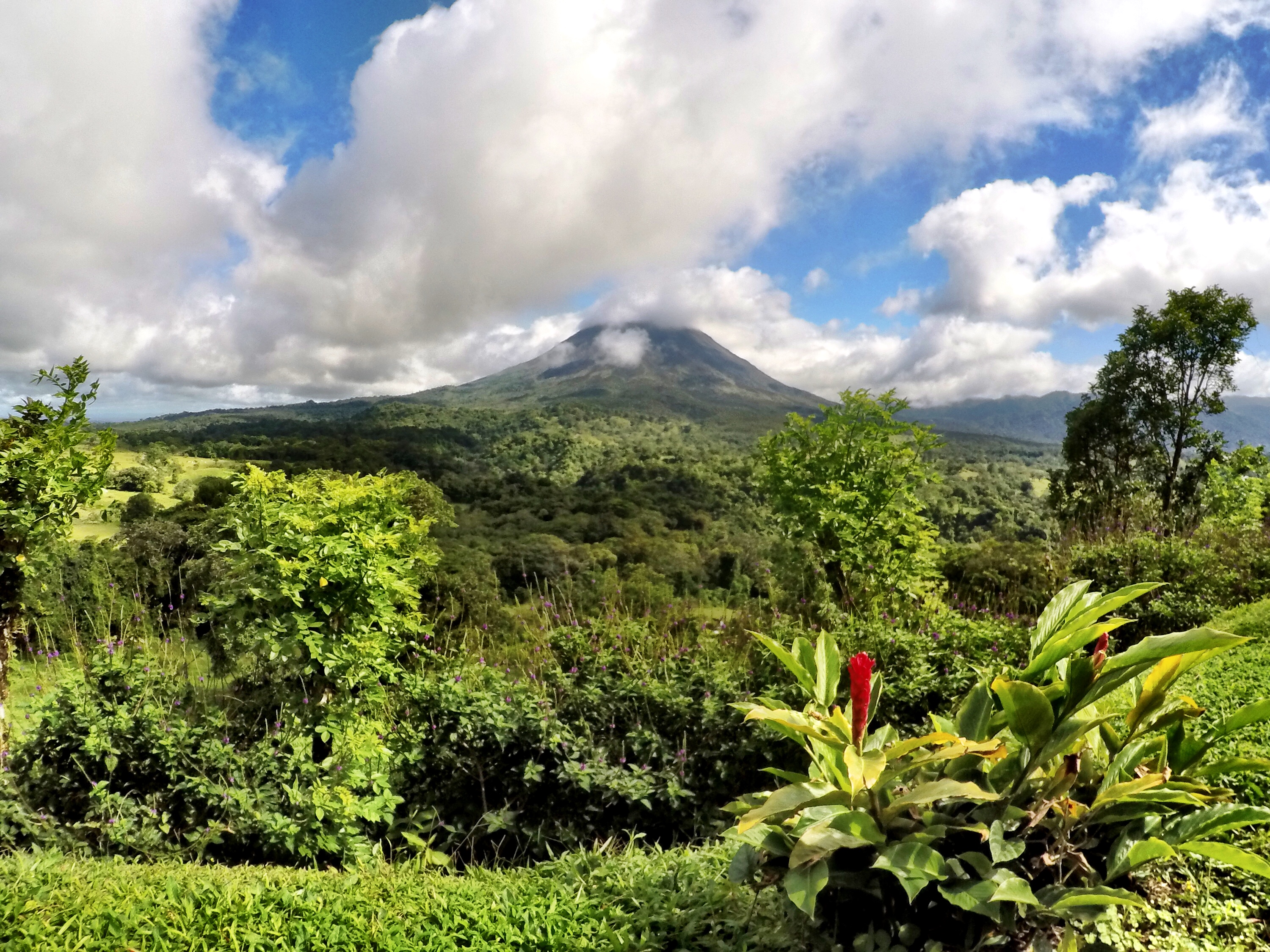 Hike the Mistico Arenal Hanging Bridges