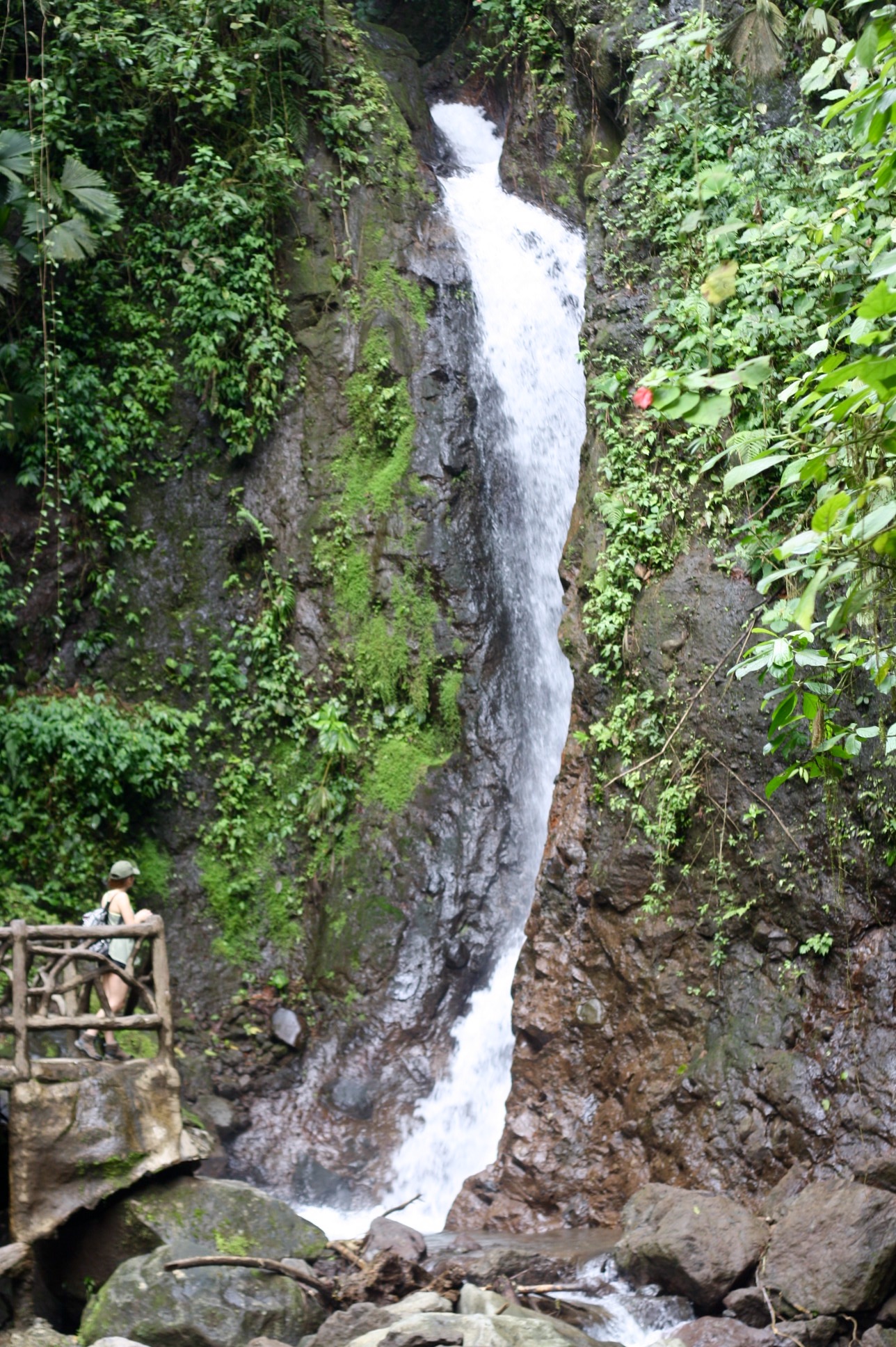 Hike the Mistico Arenal Hanging Bridges