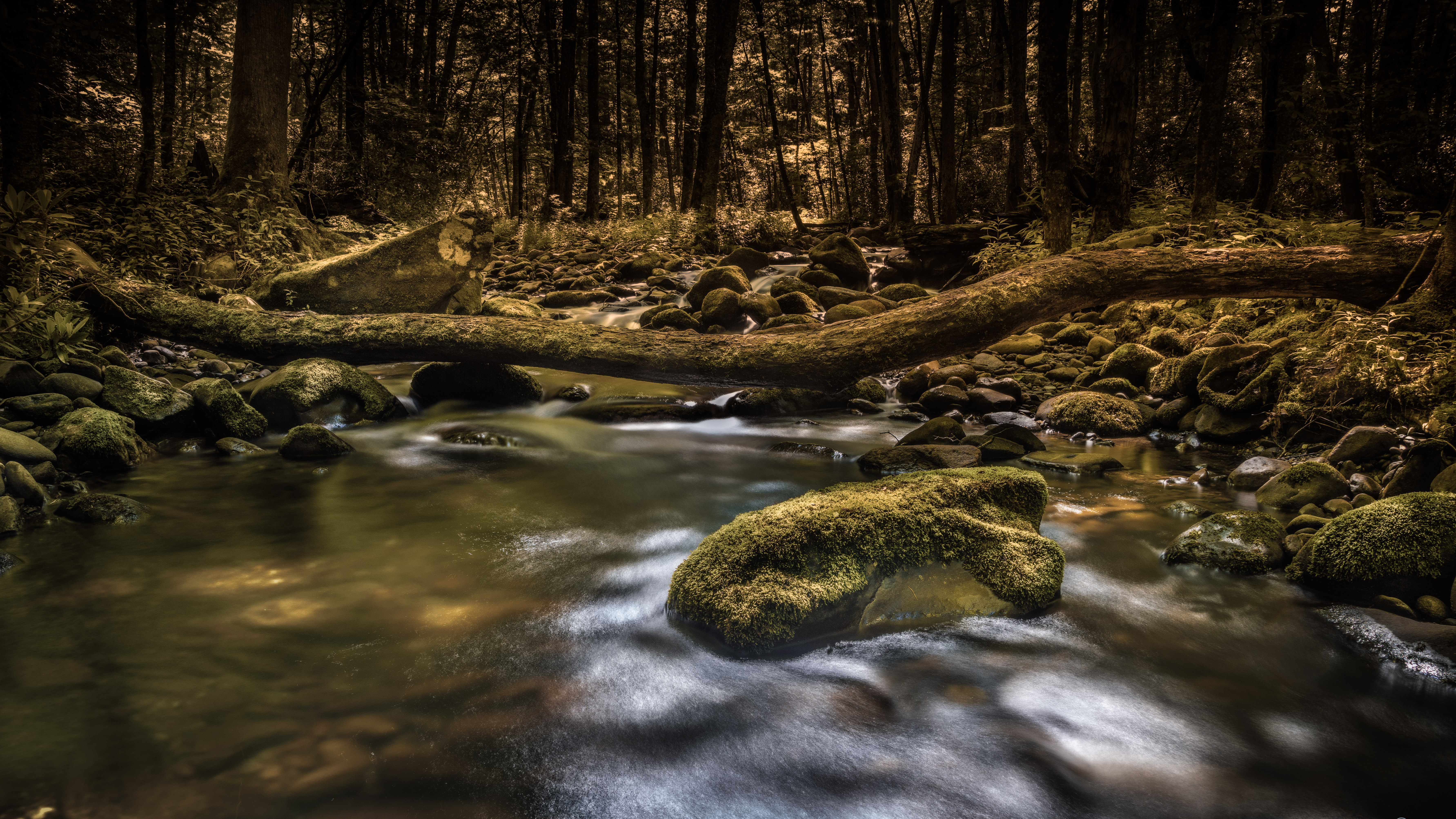 Little River Trail to Backcountry Campsite #30