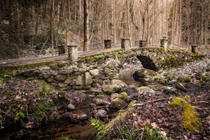 Little River Trail to Backcountry Campsite #30