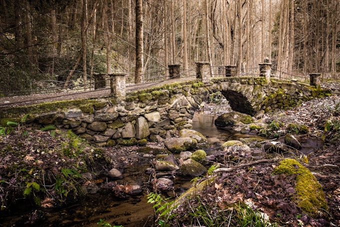 A stone bridge sits above a small crick. It is surrounded by mossy rocks and trees.