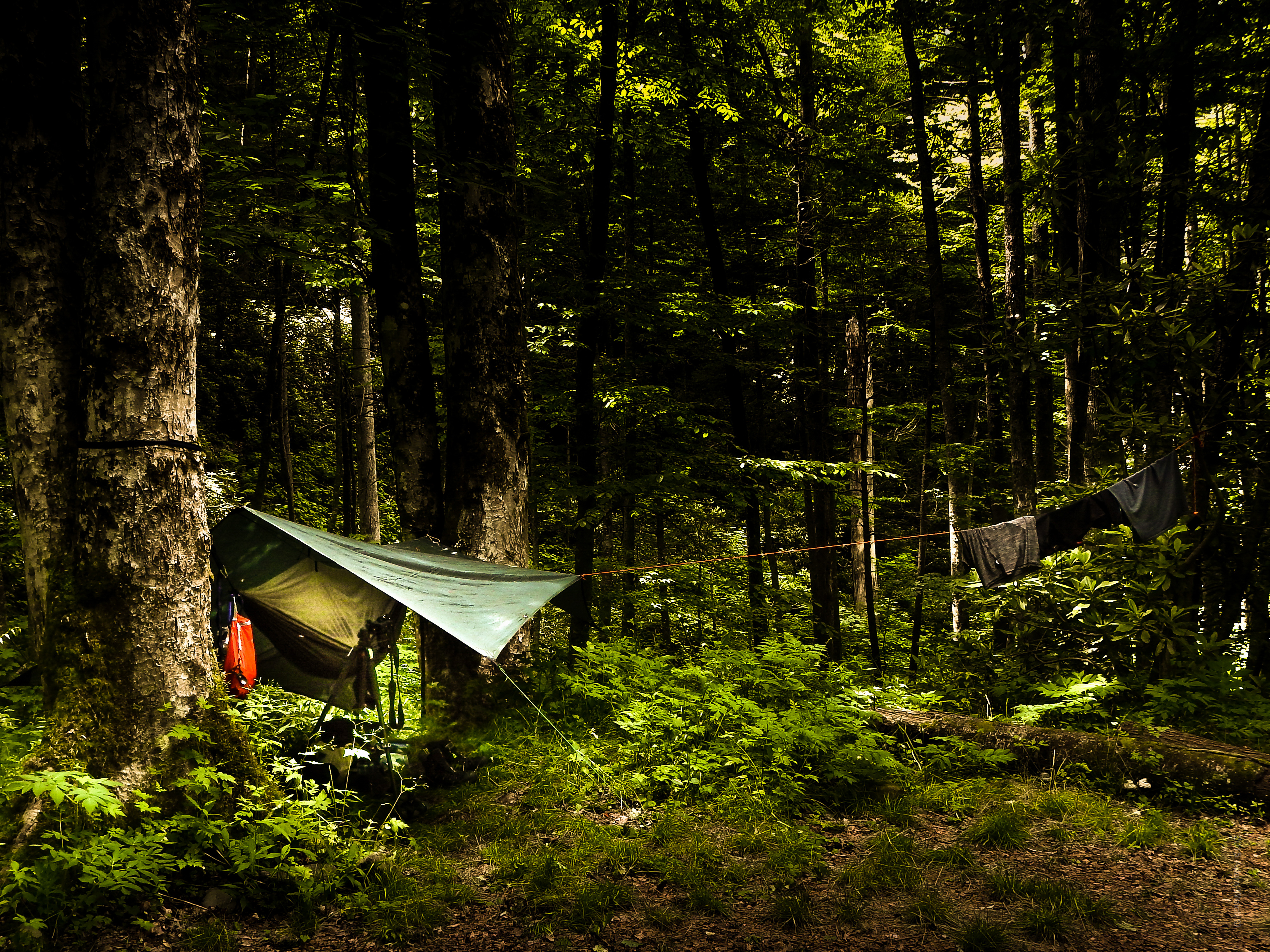 Little River Trail to Backcountry Campsite #30
