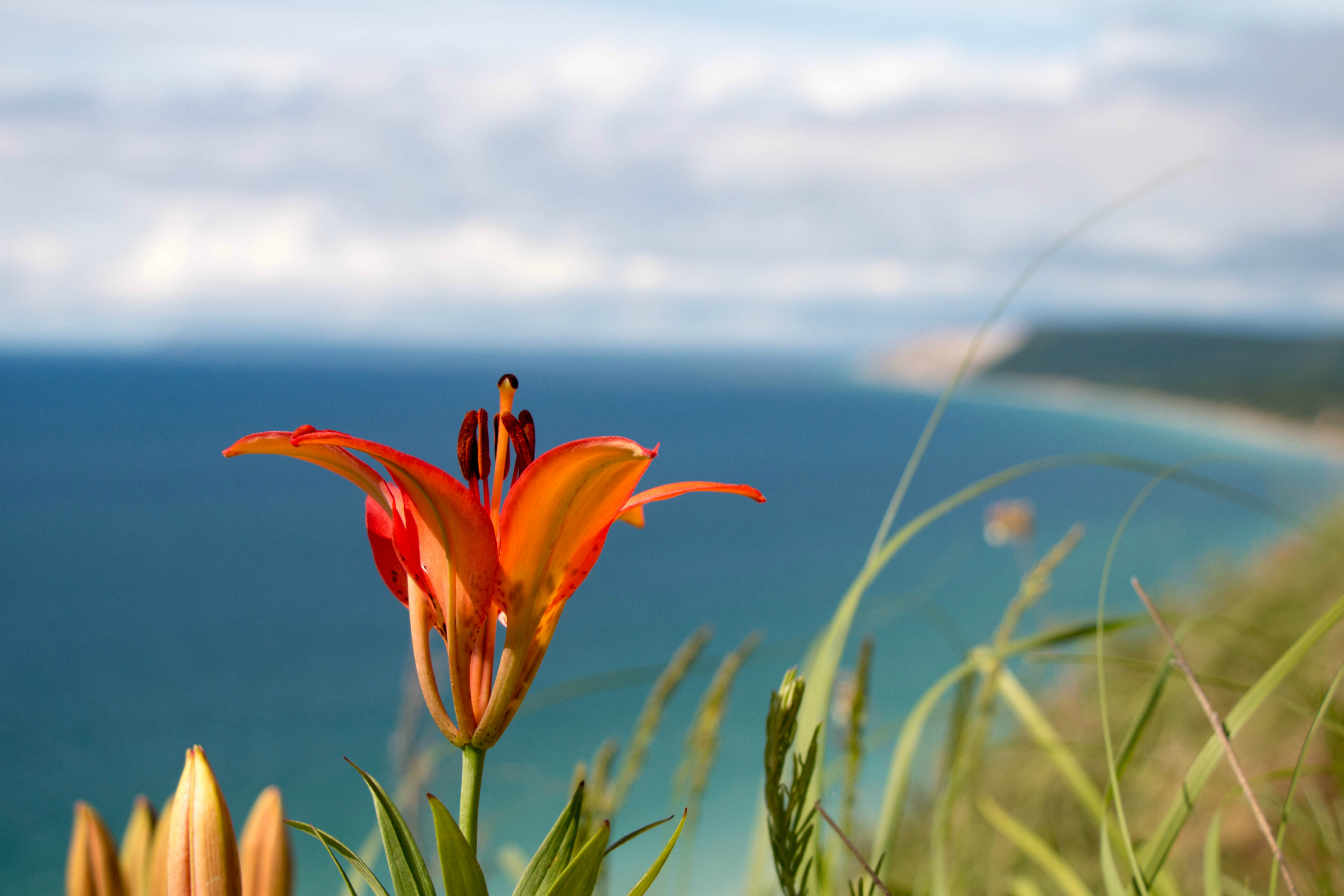Hike Empire Bluff Trail