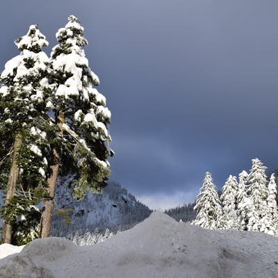 Snowboard Snoqualmie Mountain 