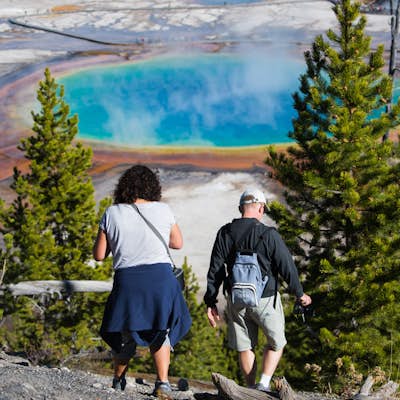 Hike above Grand Prismatic Spring