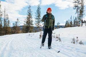 Cross-Country Ski at Lubrecht Experimental Forest