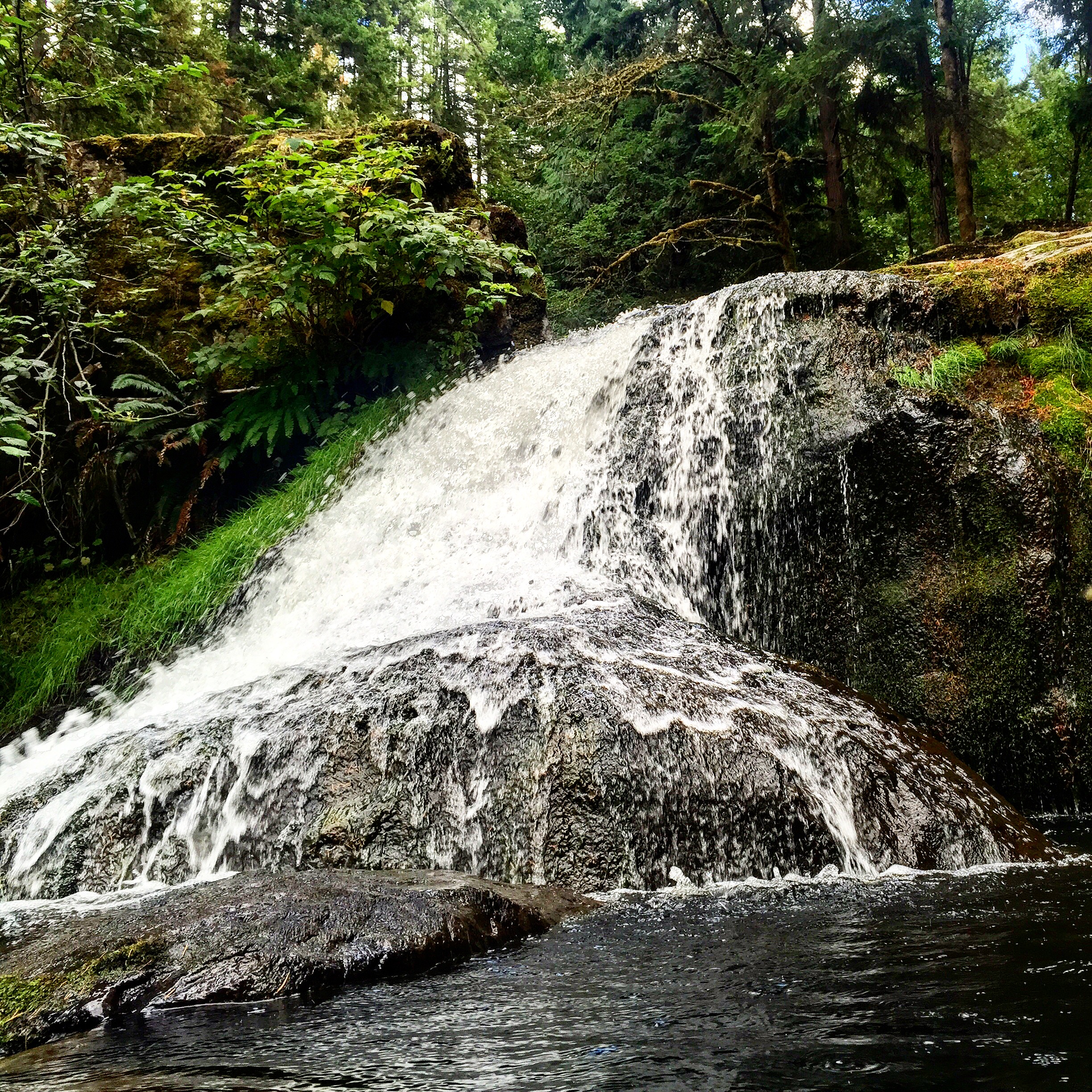 Hike to Little Mashel Falls 