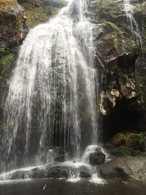 Hike to Little Mashel Falls 