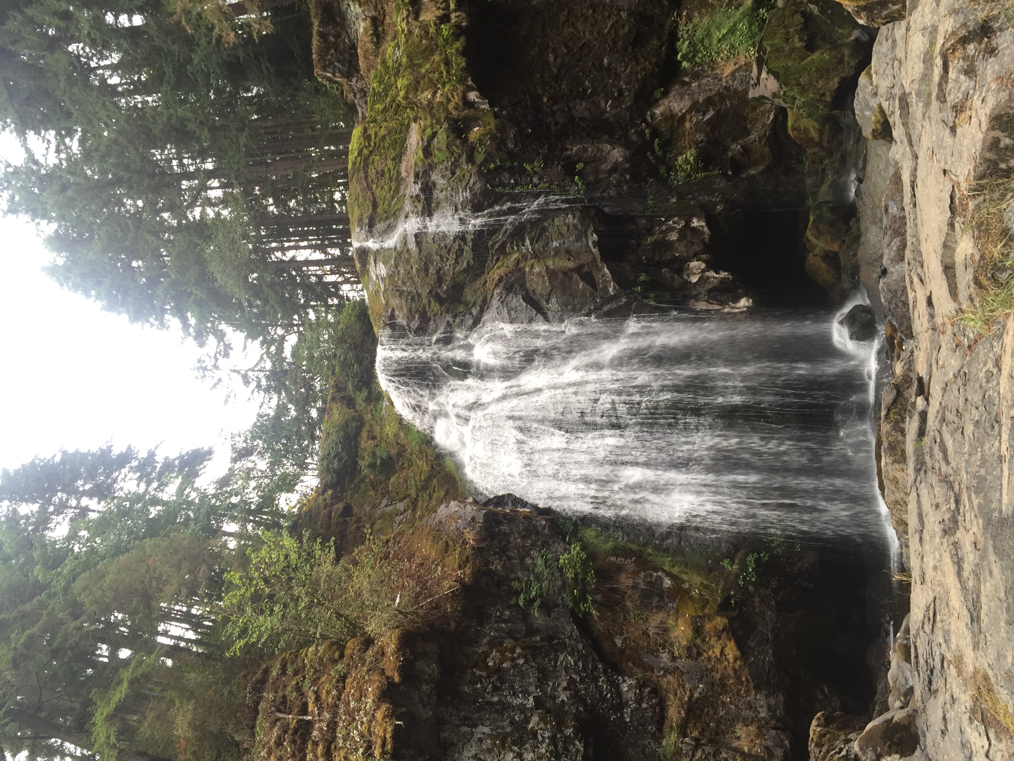 Hike to Little Mashel Falls 