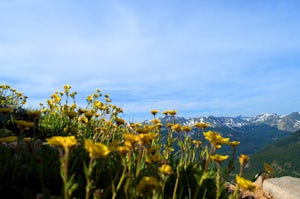 Summit Mt. Yale 