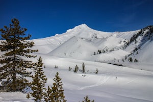 Snowshoe Mt. Hood's White River