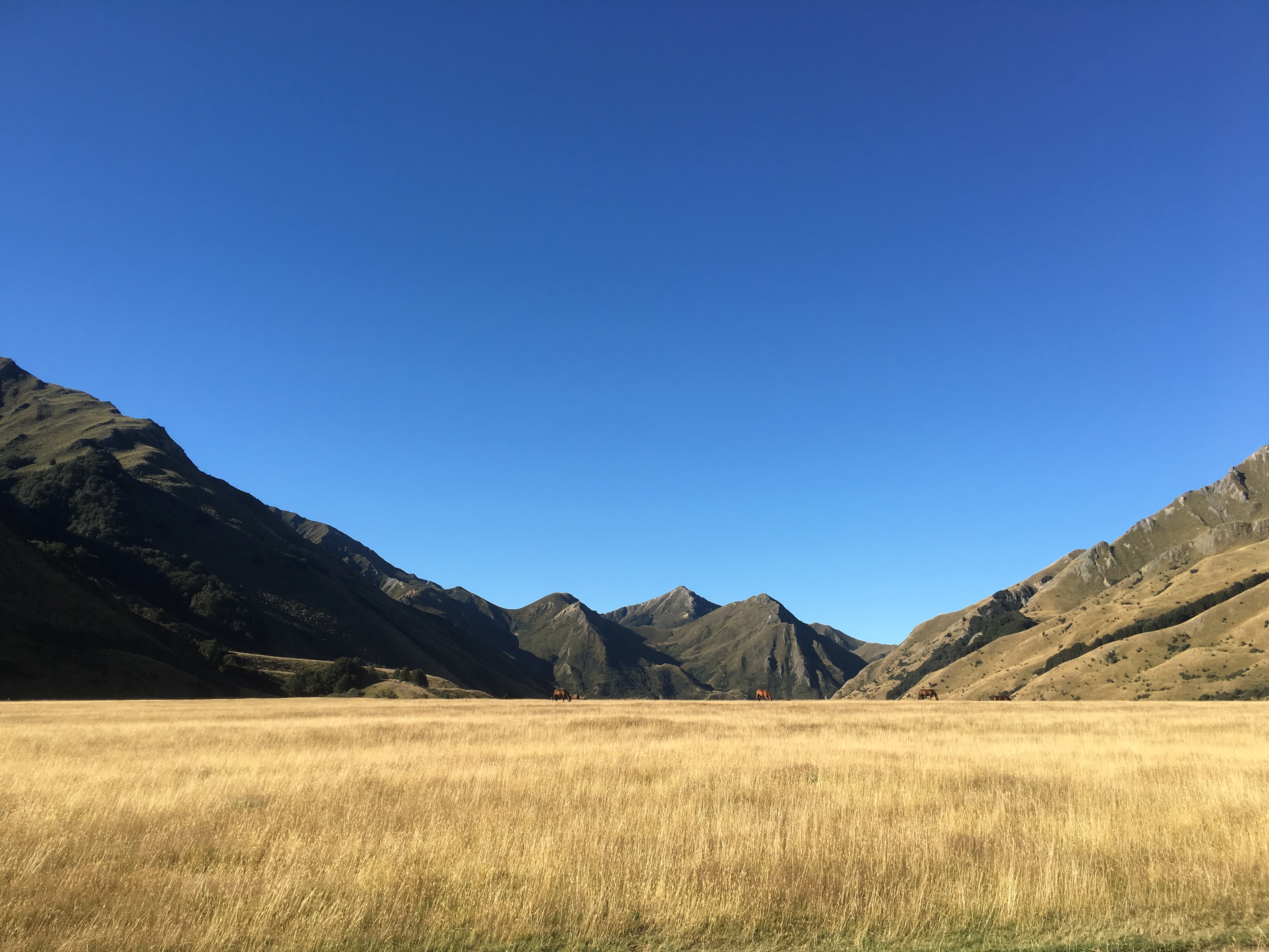 Camp at Moke Lake
