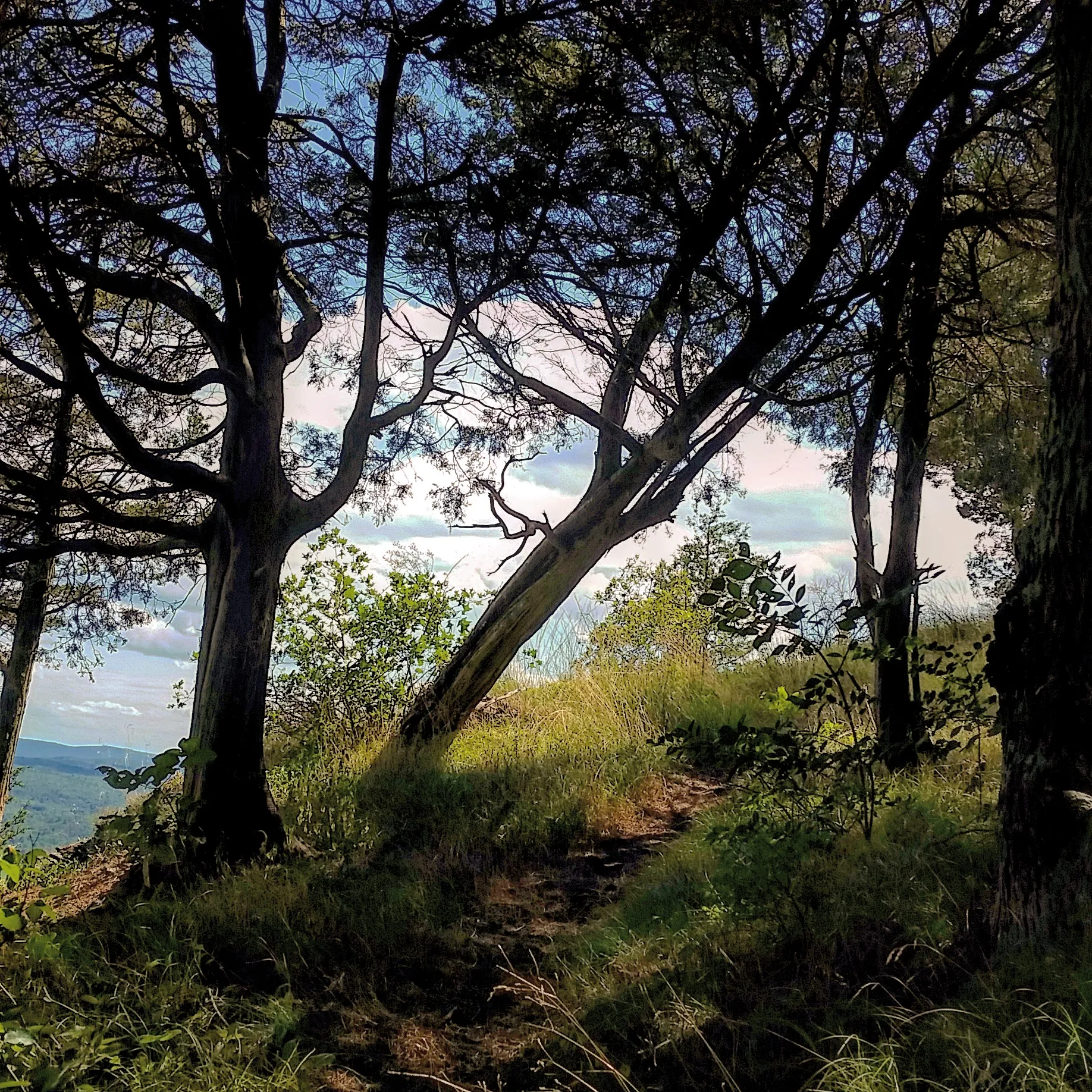 Hike to Cliff Park Ridge