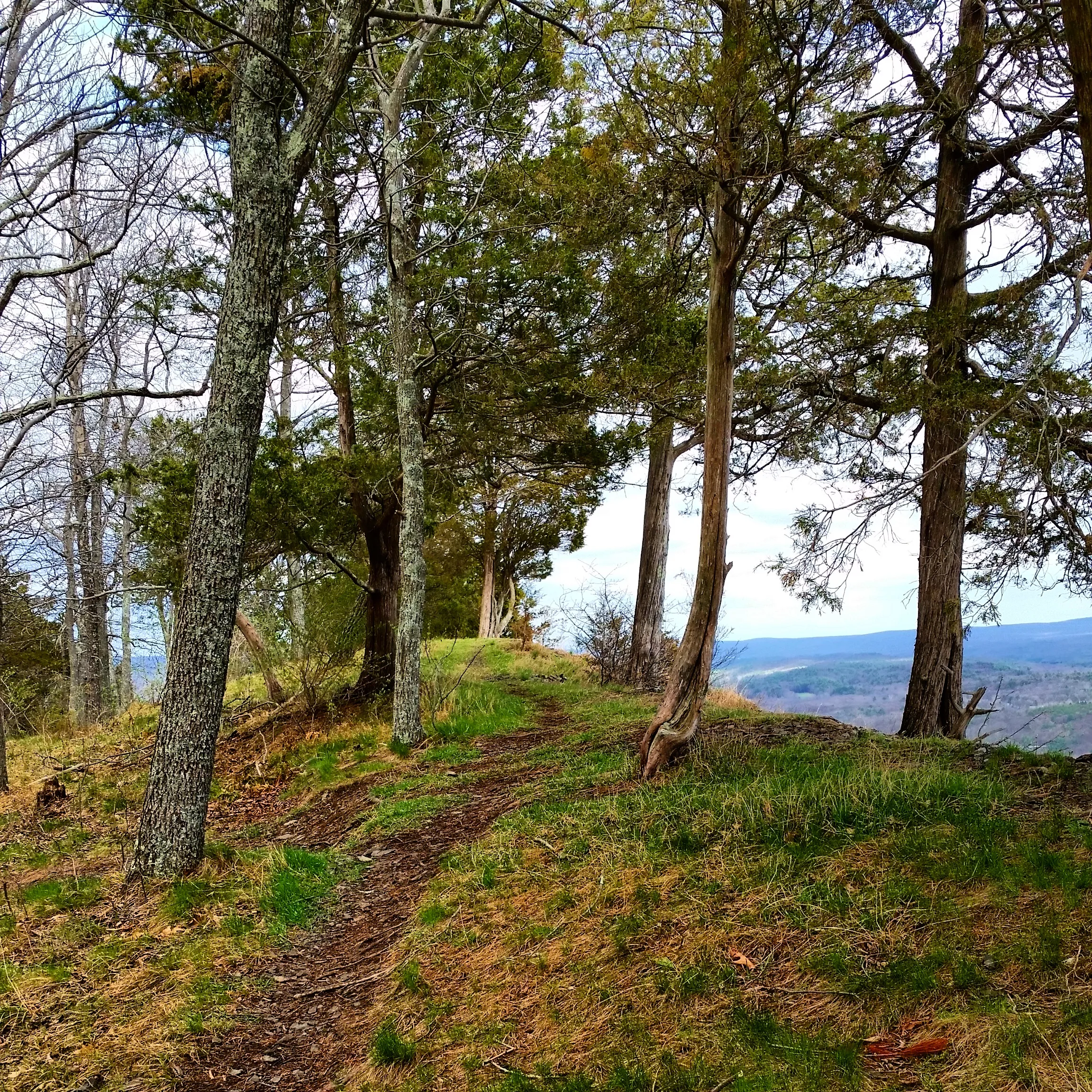 Hike to Cliff Park Ridge