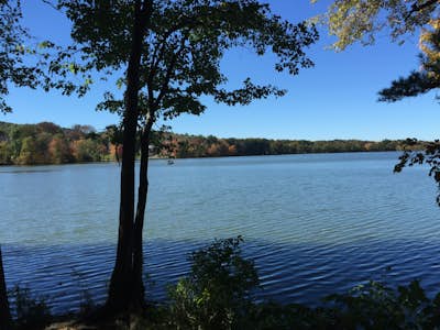 Hike at Franklin Lakes Nature Preserve 