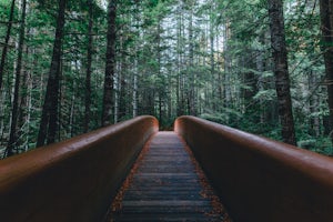 Hike to Tall Trees Grove, Redwood NP