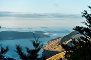 Summit Mt. Stokes