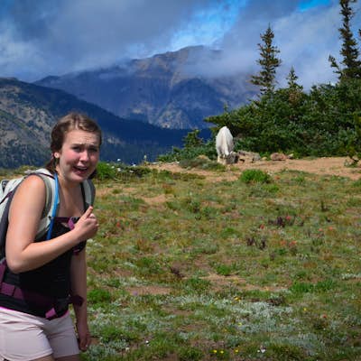 Backpack to Marmot and Constance Passes