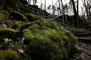 Hike the Cedar Sink Trail