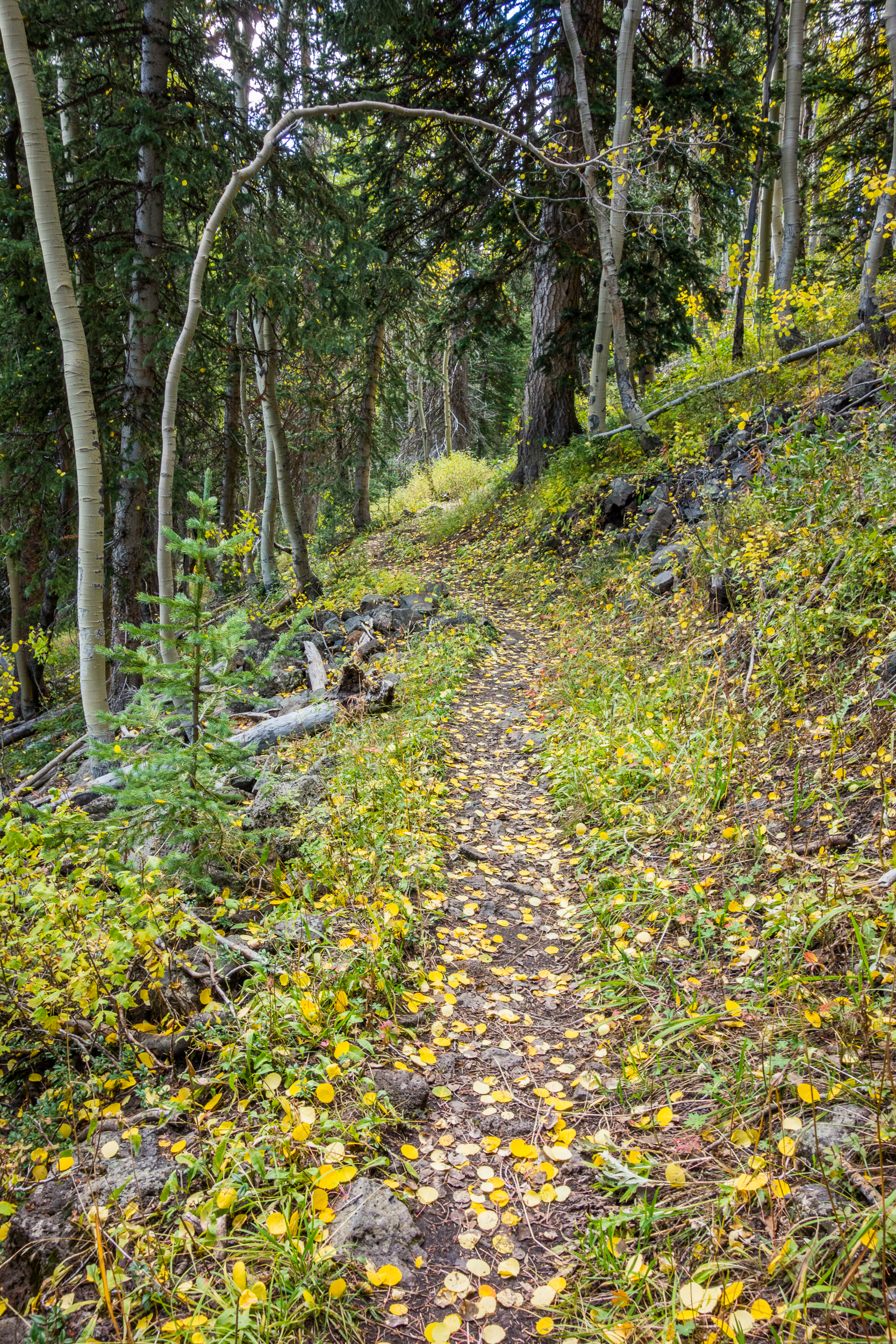 Crag Crest Loop