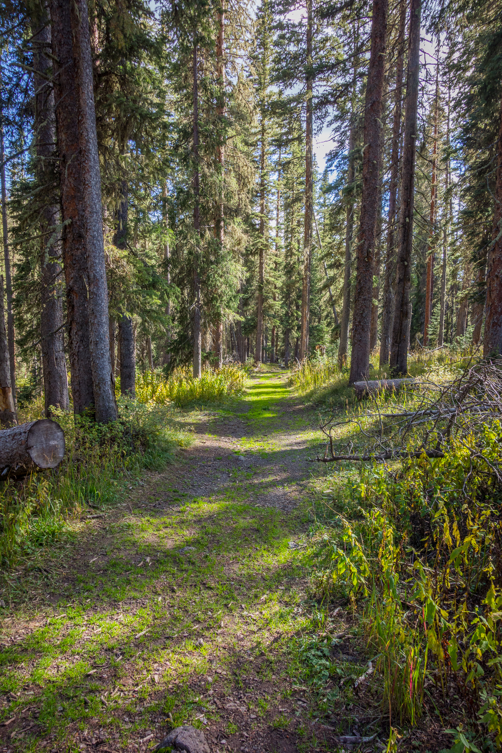 Crag Crest Loop