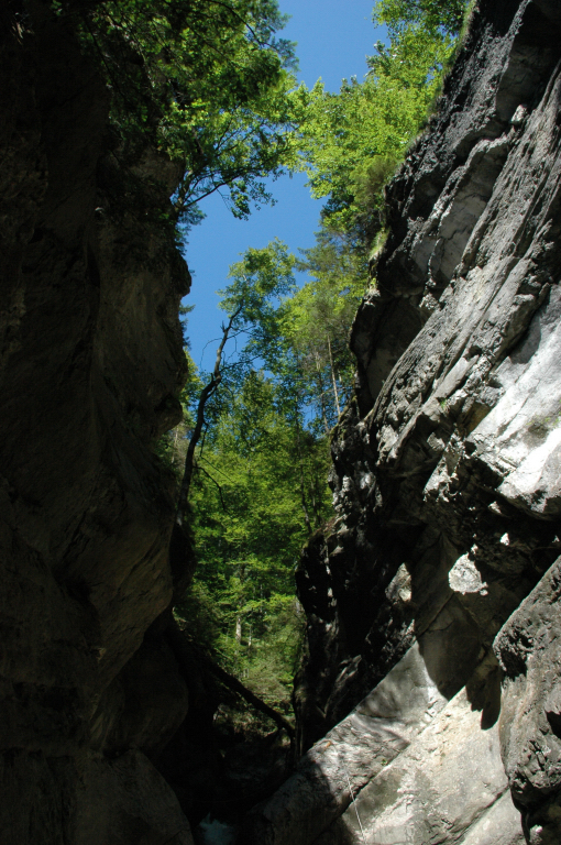Canyoning in the Saxetenbach Gorge