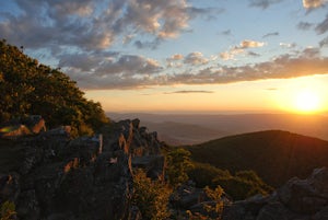 The 7 Best Hikes In Shenandoah National Park