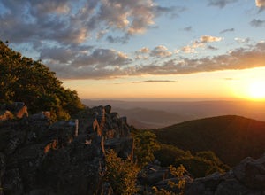 The 7 Best Hikes In Shenandoah National Park