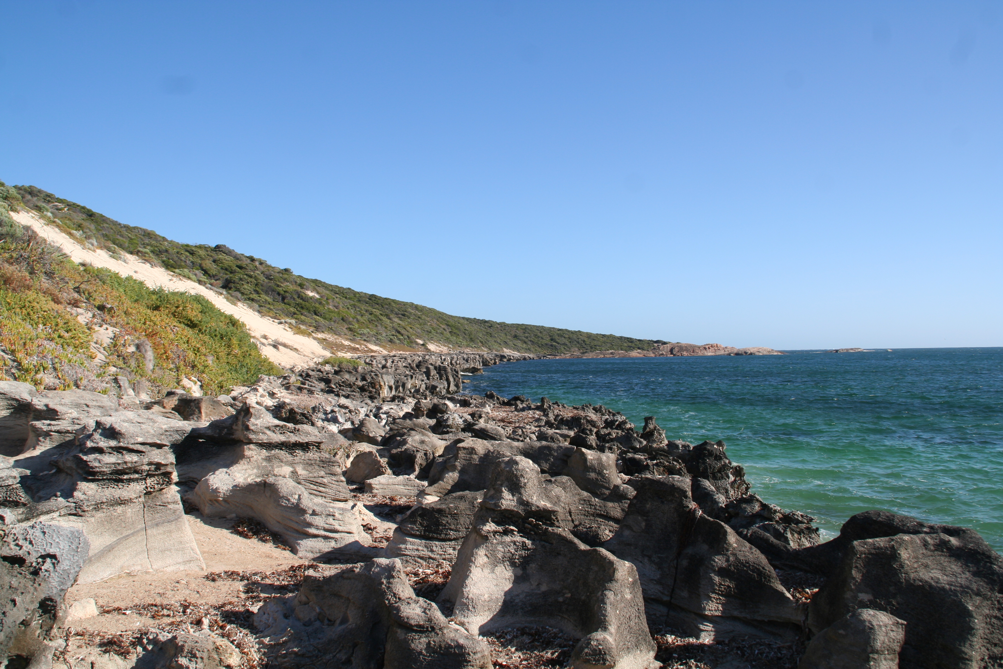 Hike the Cape to Cape Track