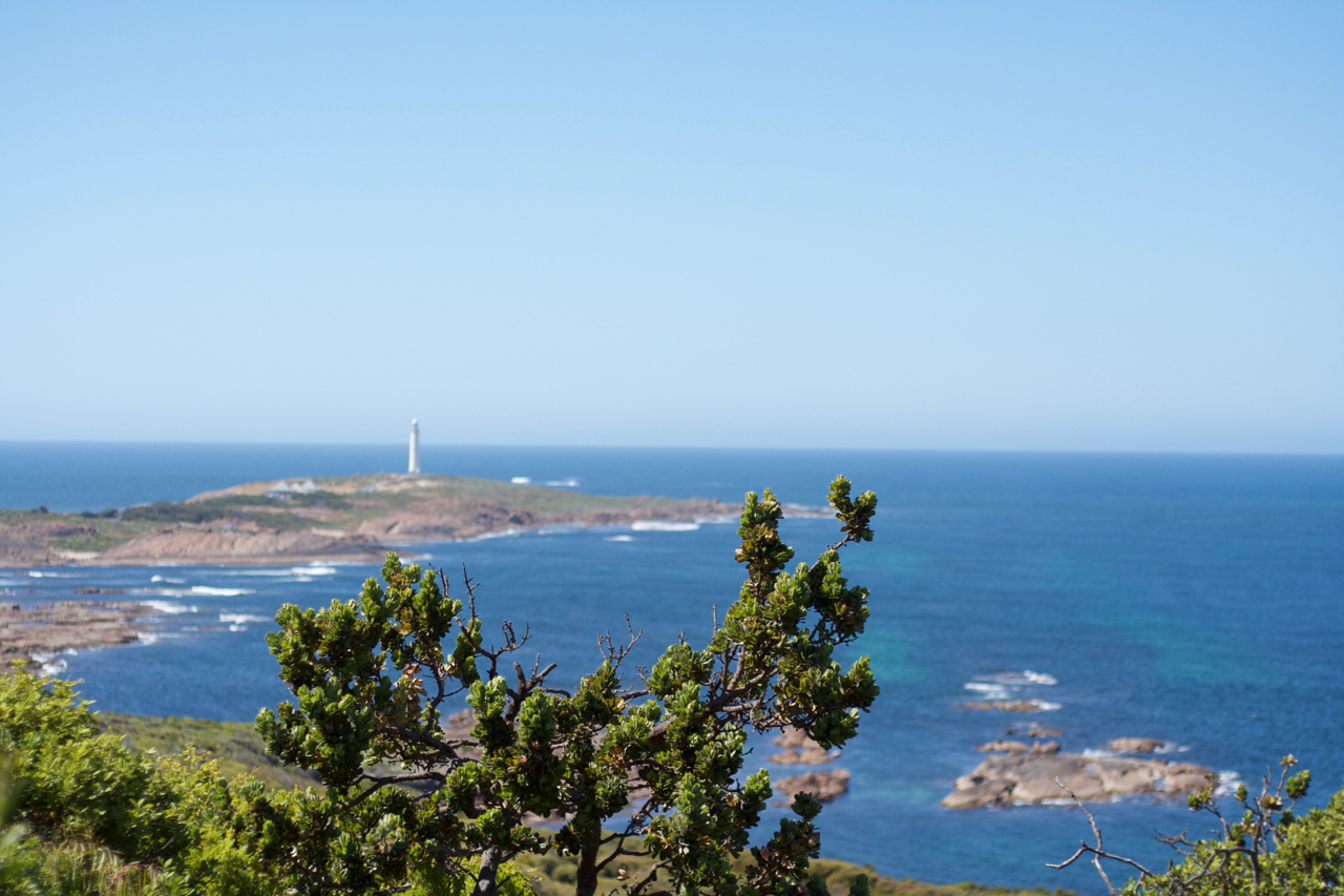 Hike the Cape to Cape Track