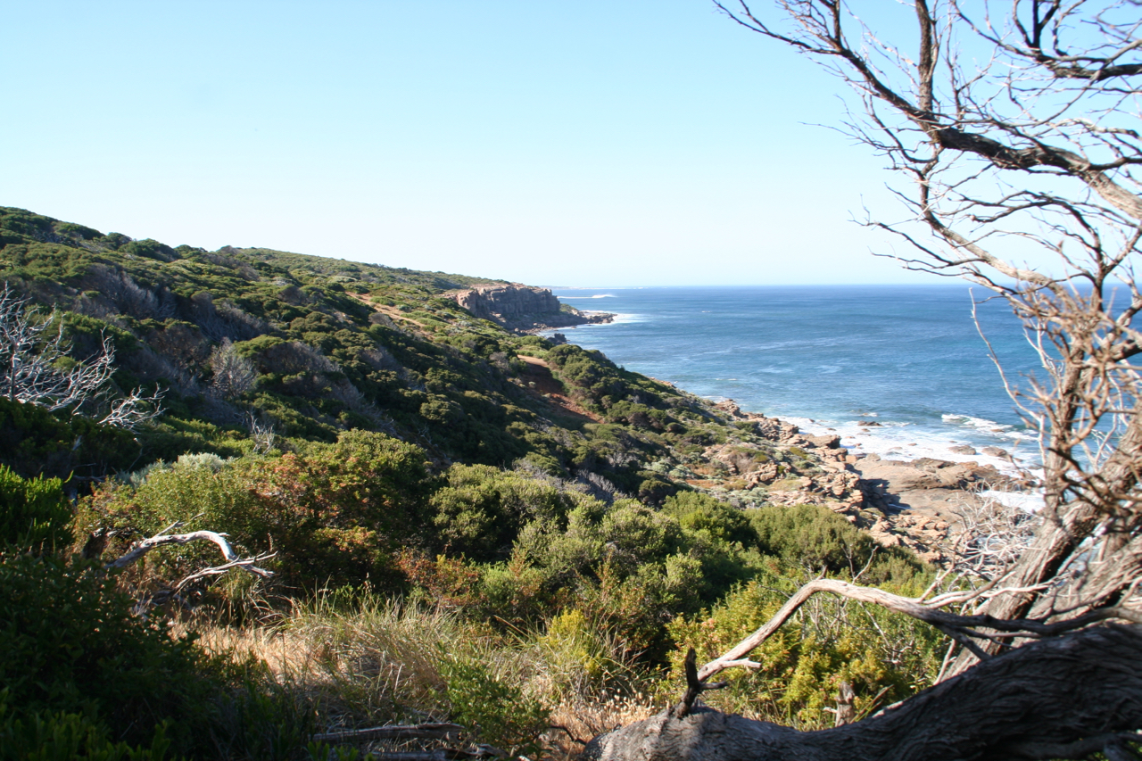 Hike the Cape to Cape Track