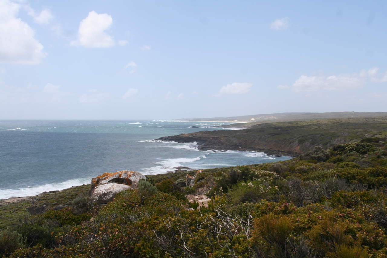 Hike the Cape to Cape Track