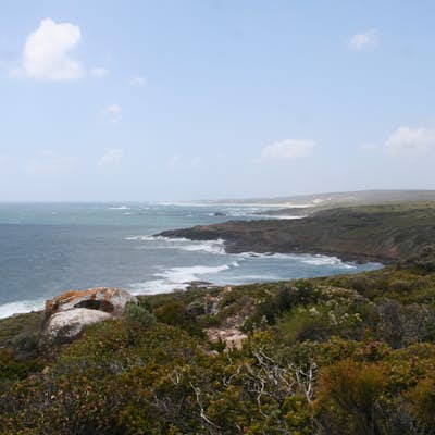 Hike the Cape to Cape Track