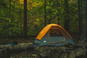 Dutchman's Creek Trail, Uwharrie NF