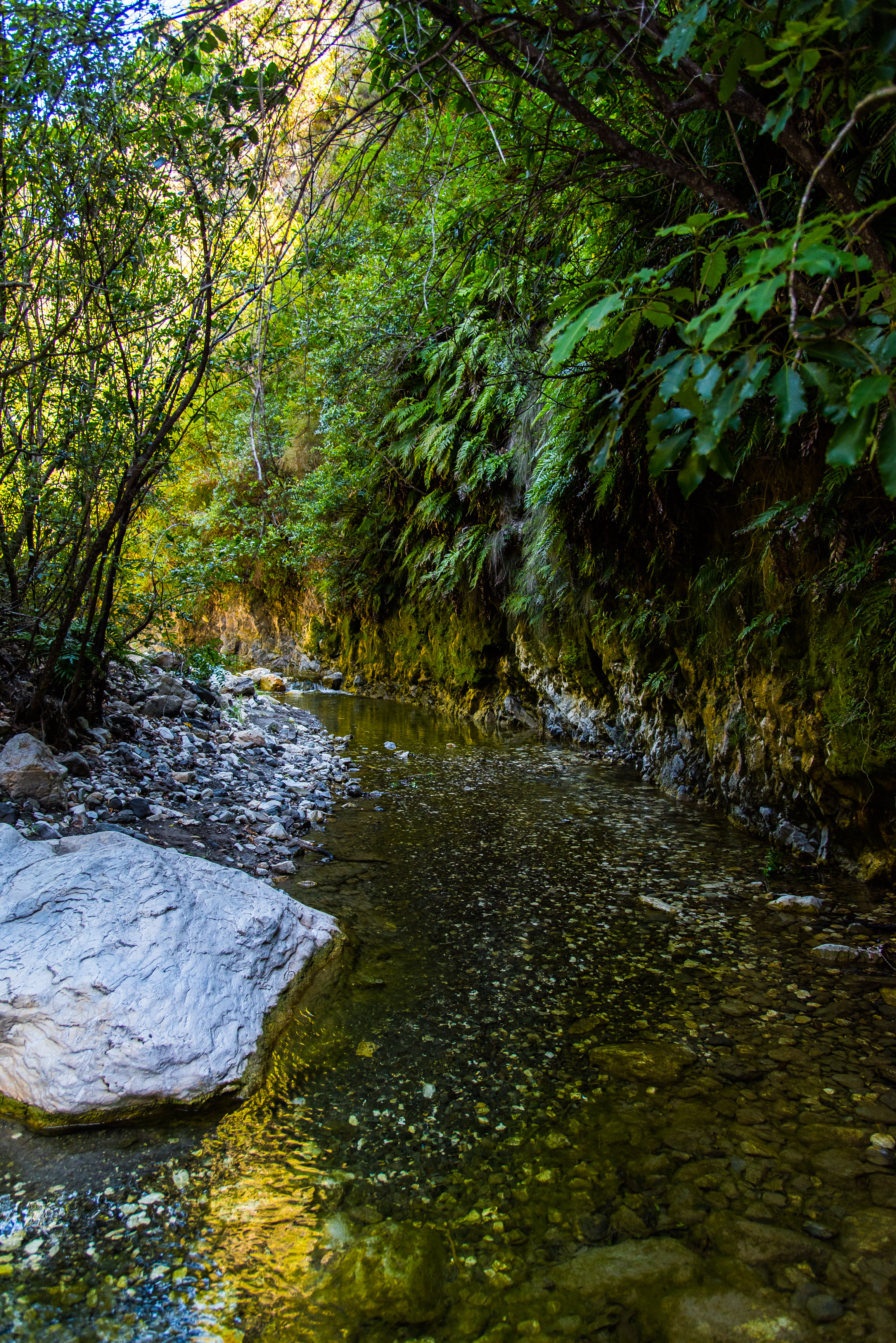 Hike through Sawcut Gorge