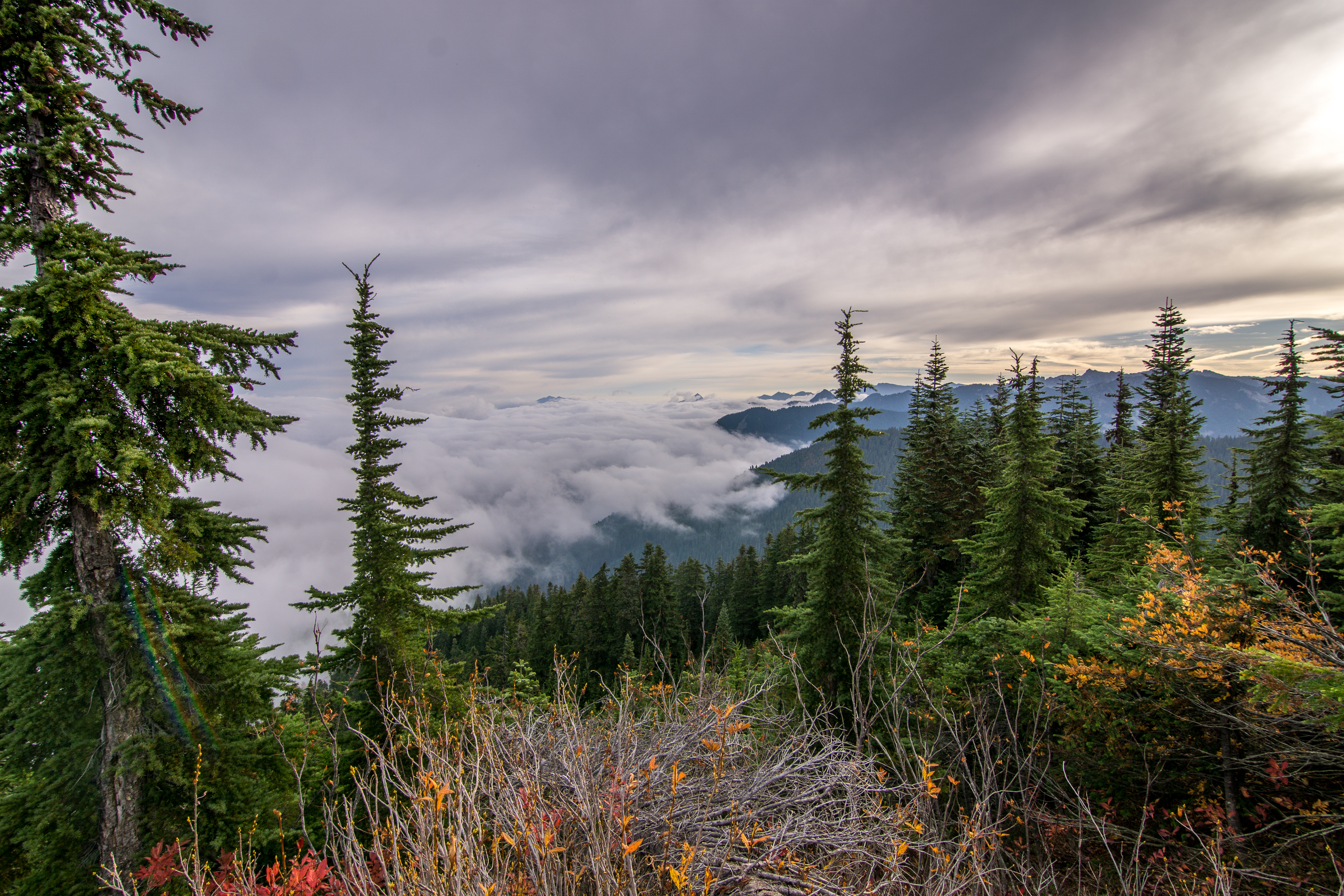 Hike Mount Sawyer