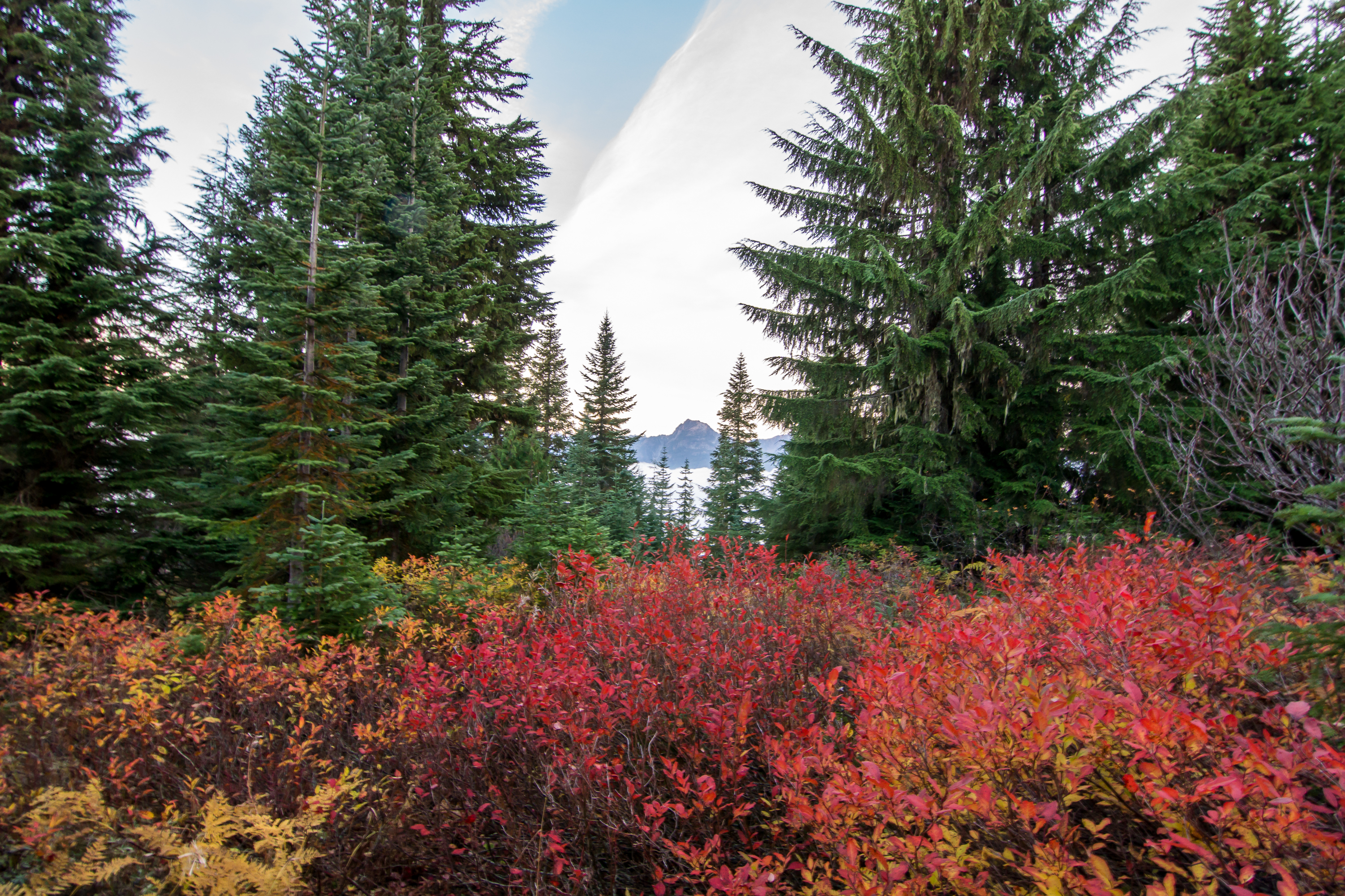 Hike Mount Sawyer
