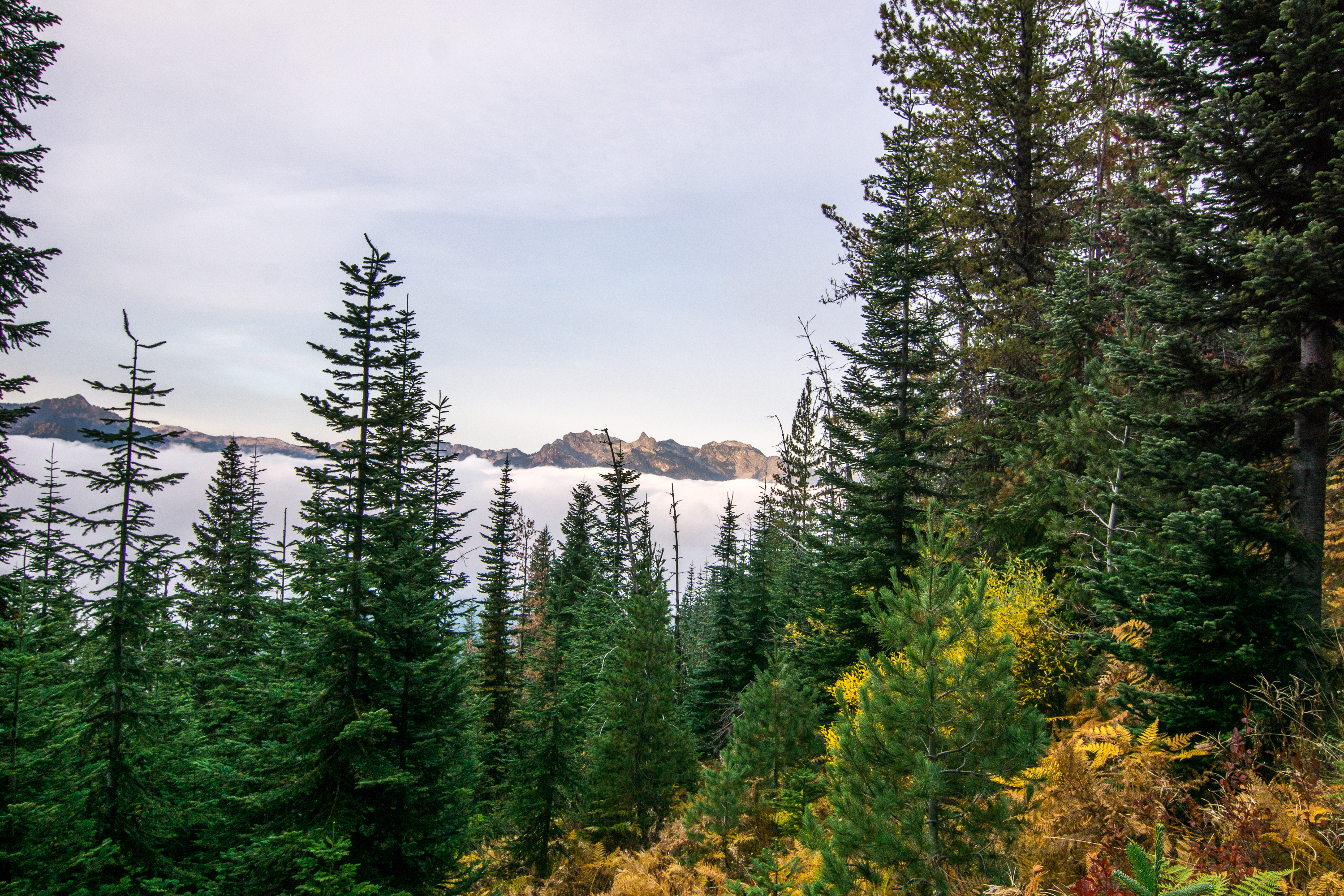 Hike Mount Sawyer
