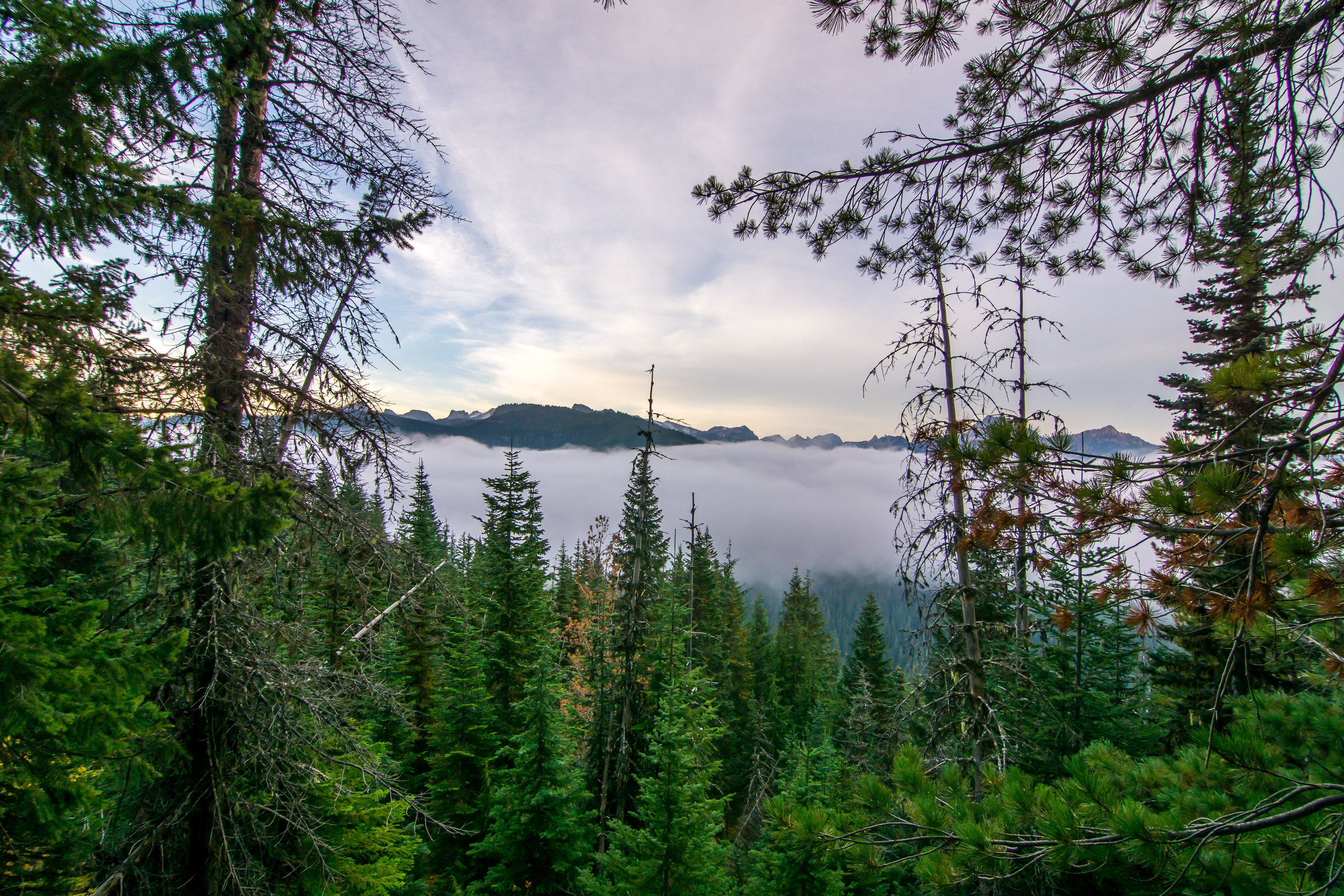 Hike Mount Sawyer