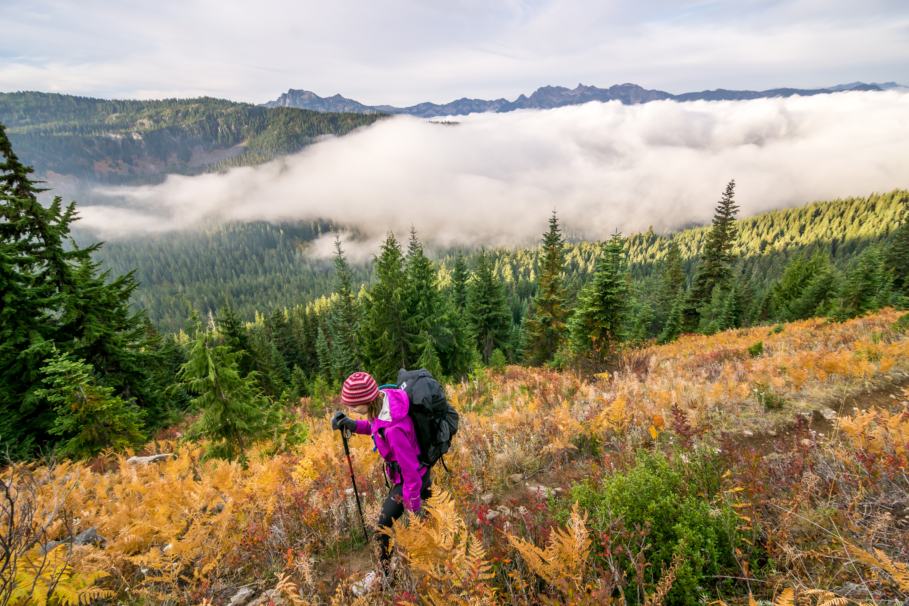 Hike Mount Sawyer