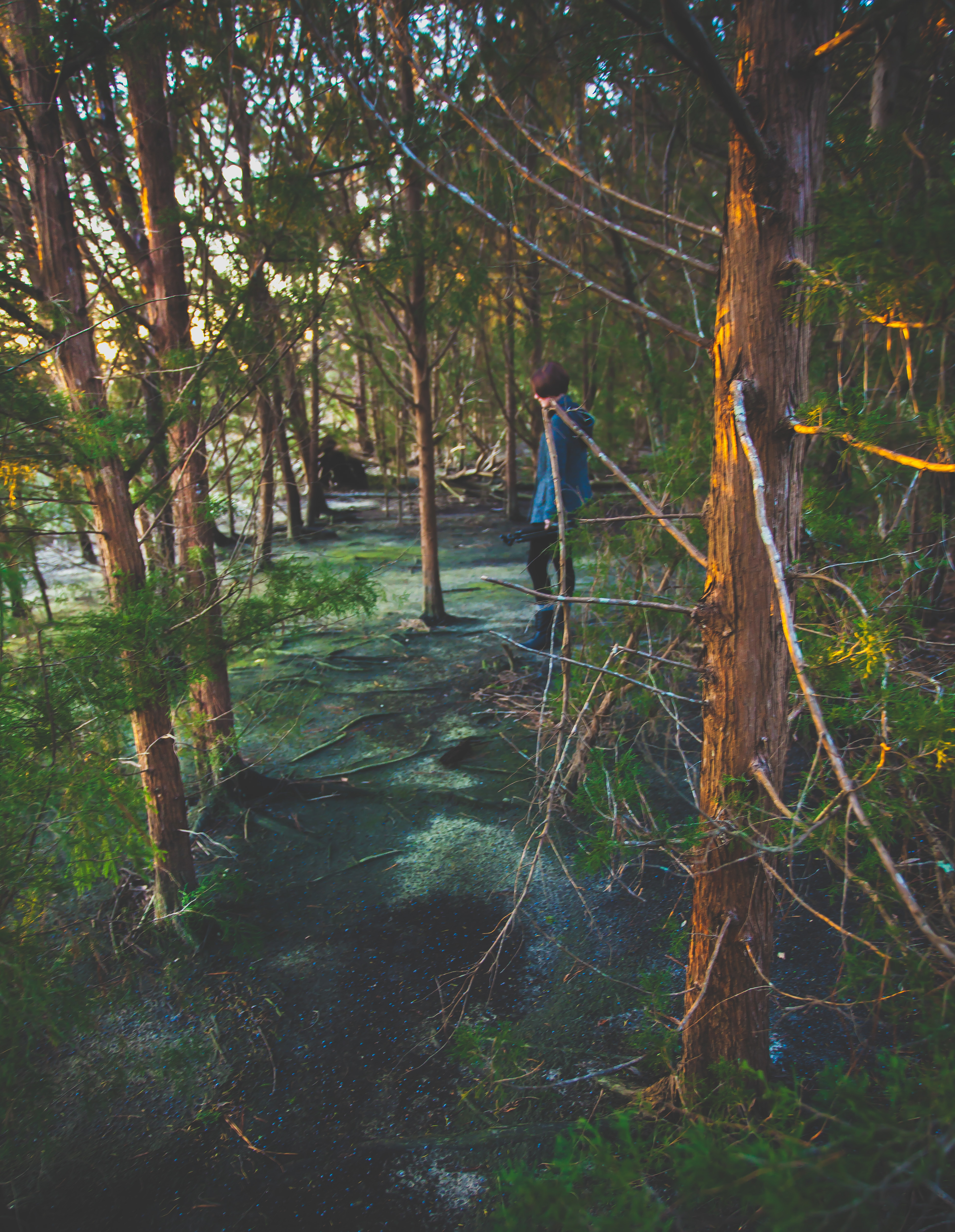 Explore River Road Park