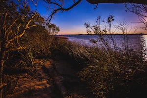 Explore River Road Park