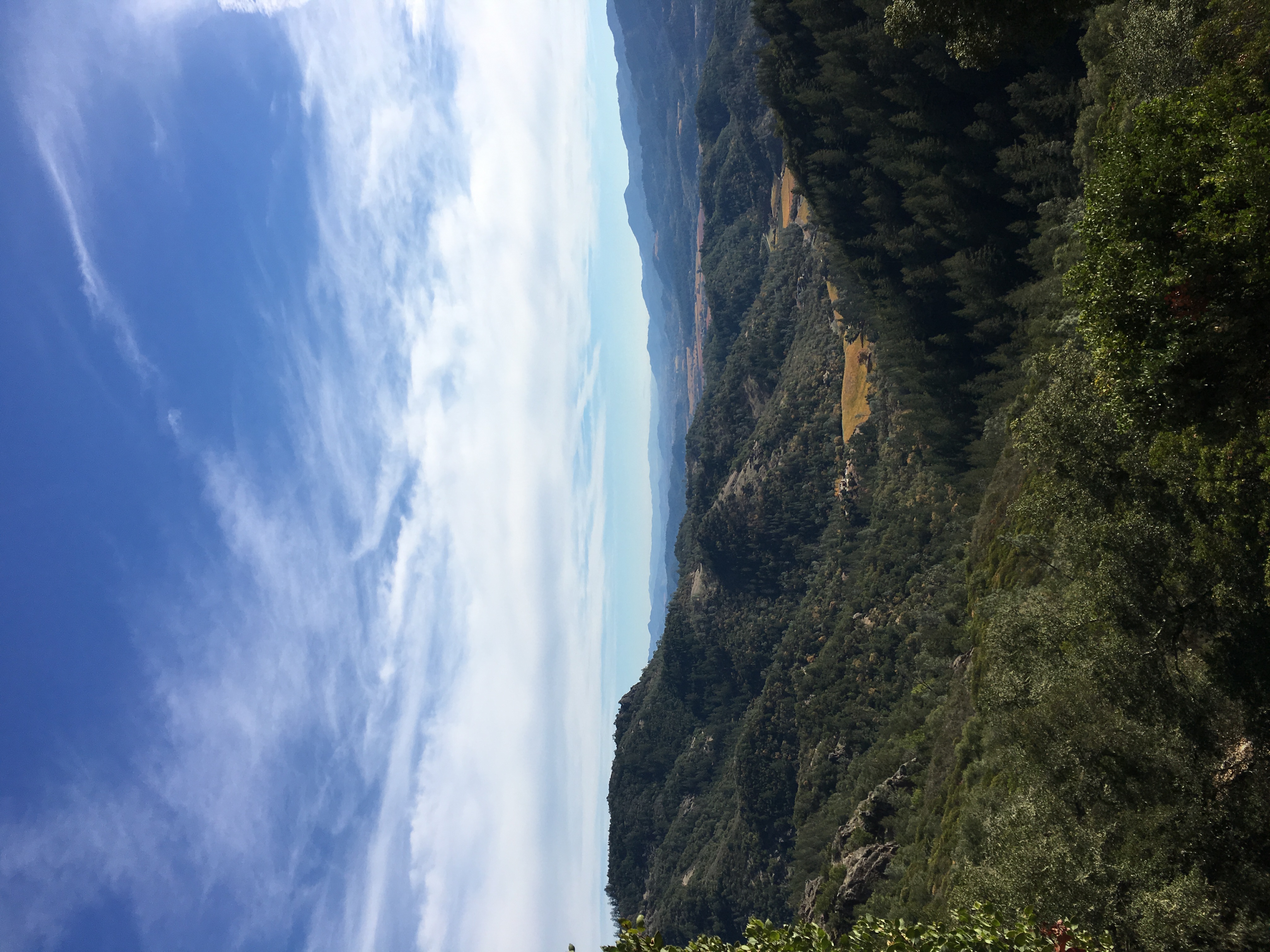 Hike the Oat Hill Mine Trail