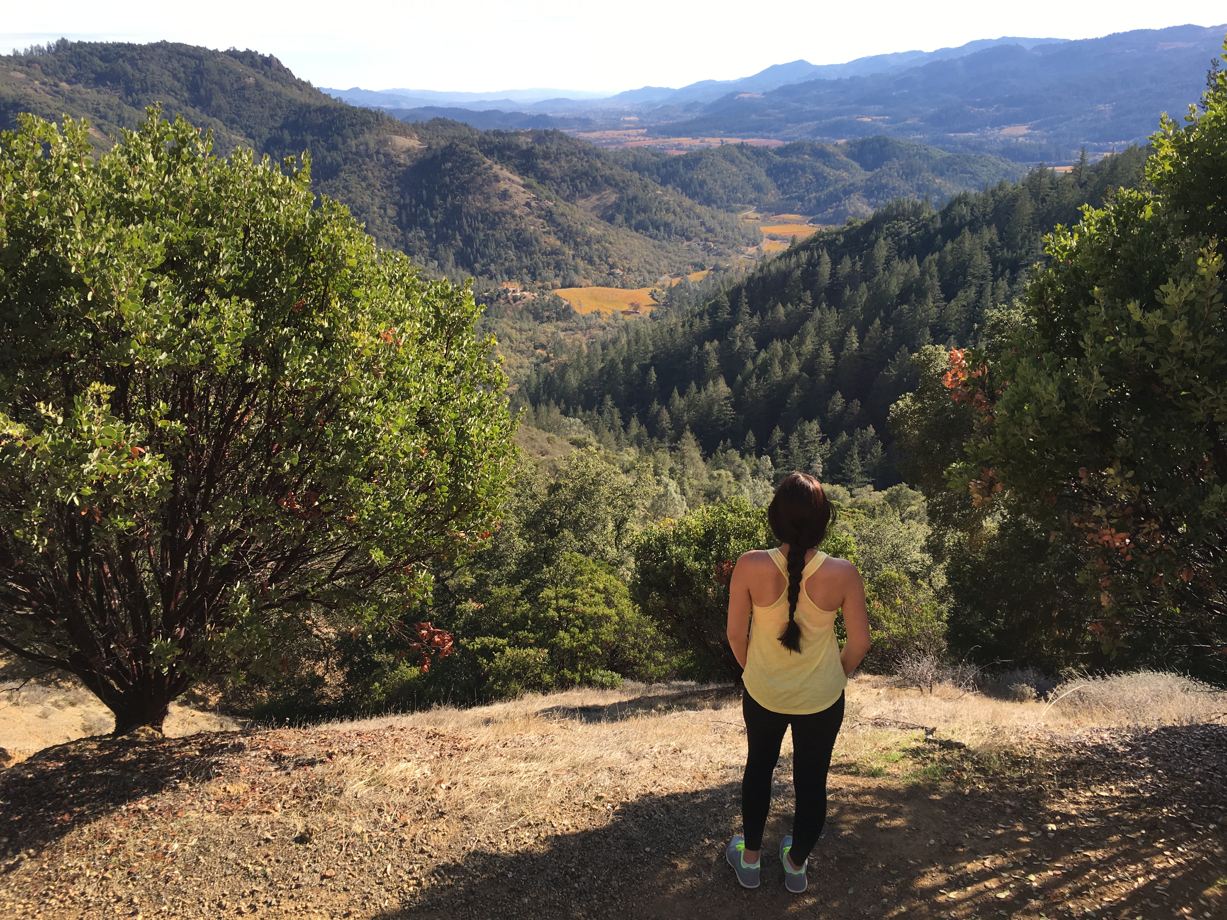 Hike the Oat Hill Mine Trail
