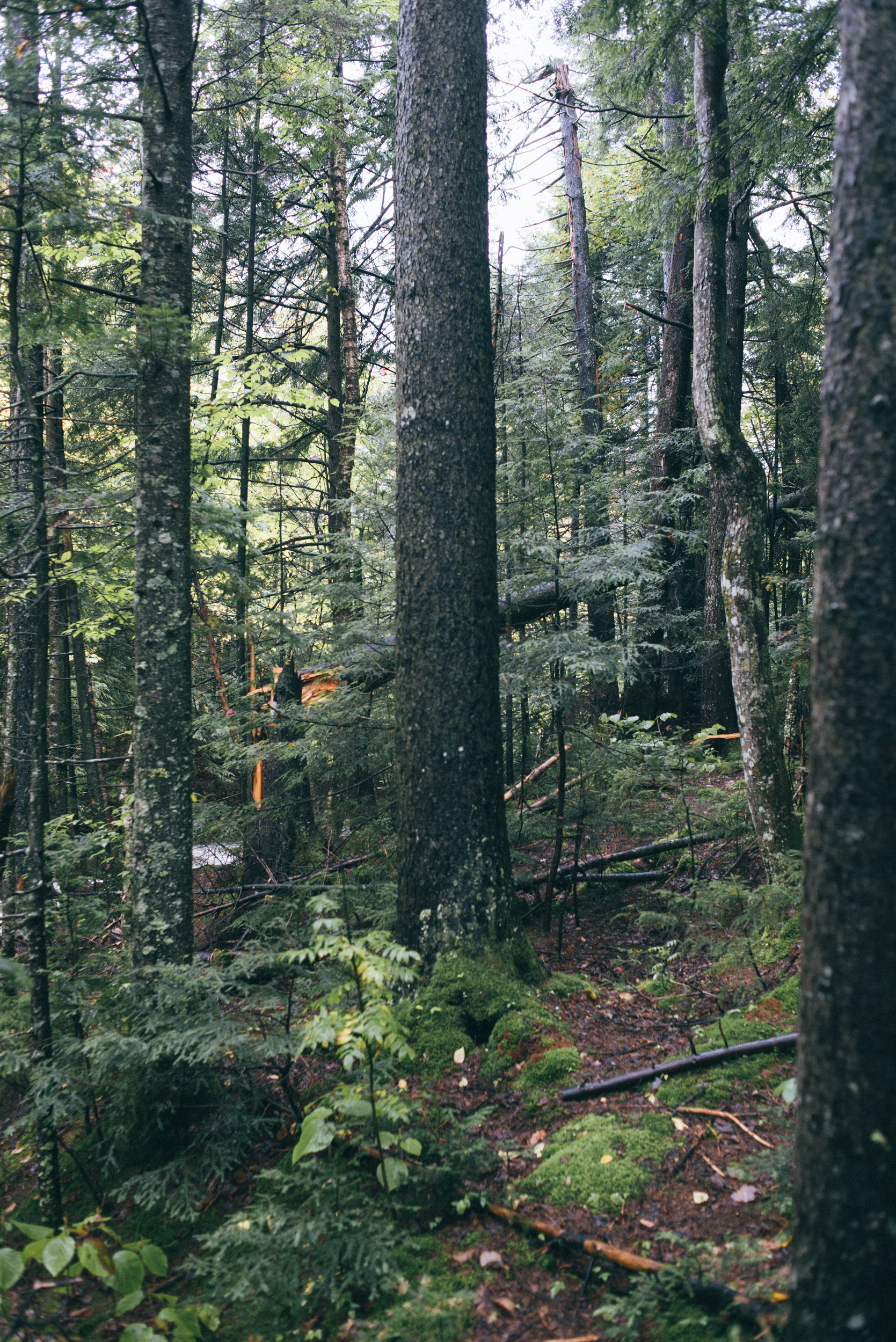 Explore the Basin in Franconia Notch