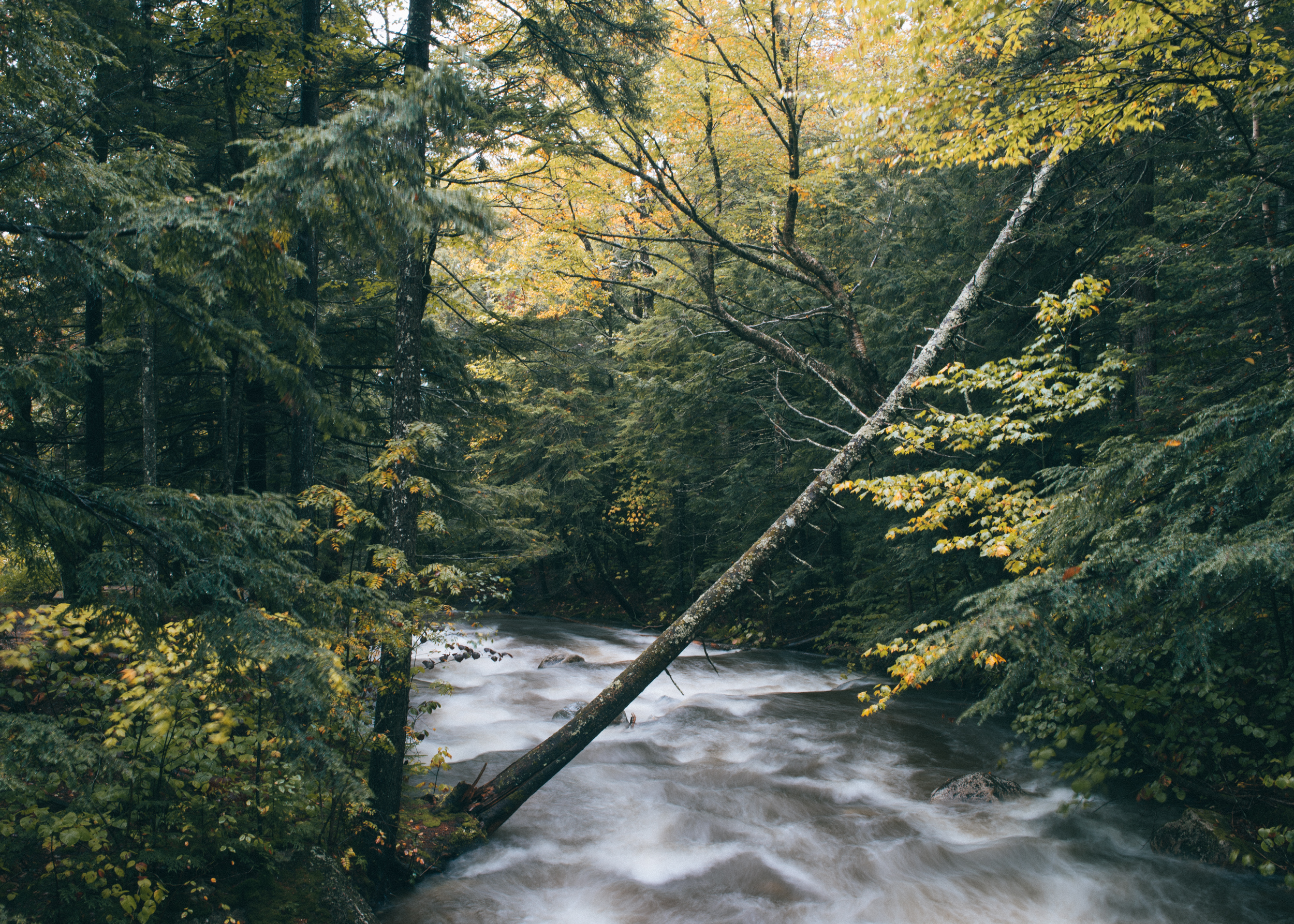 Explore the Basin in Franconia Notch