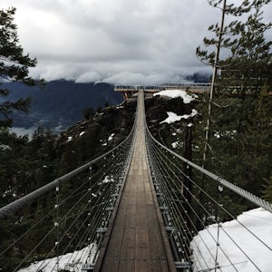 Ride the Sea to Sky Gondola