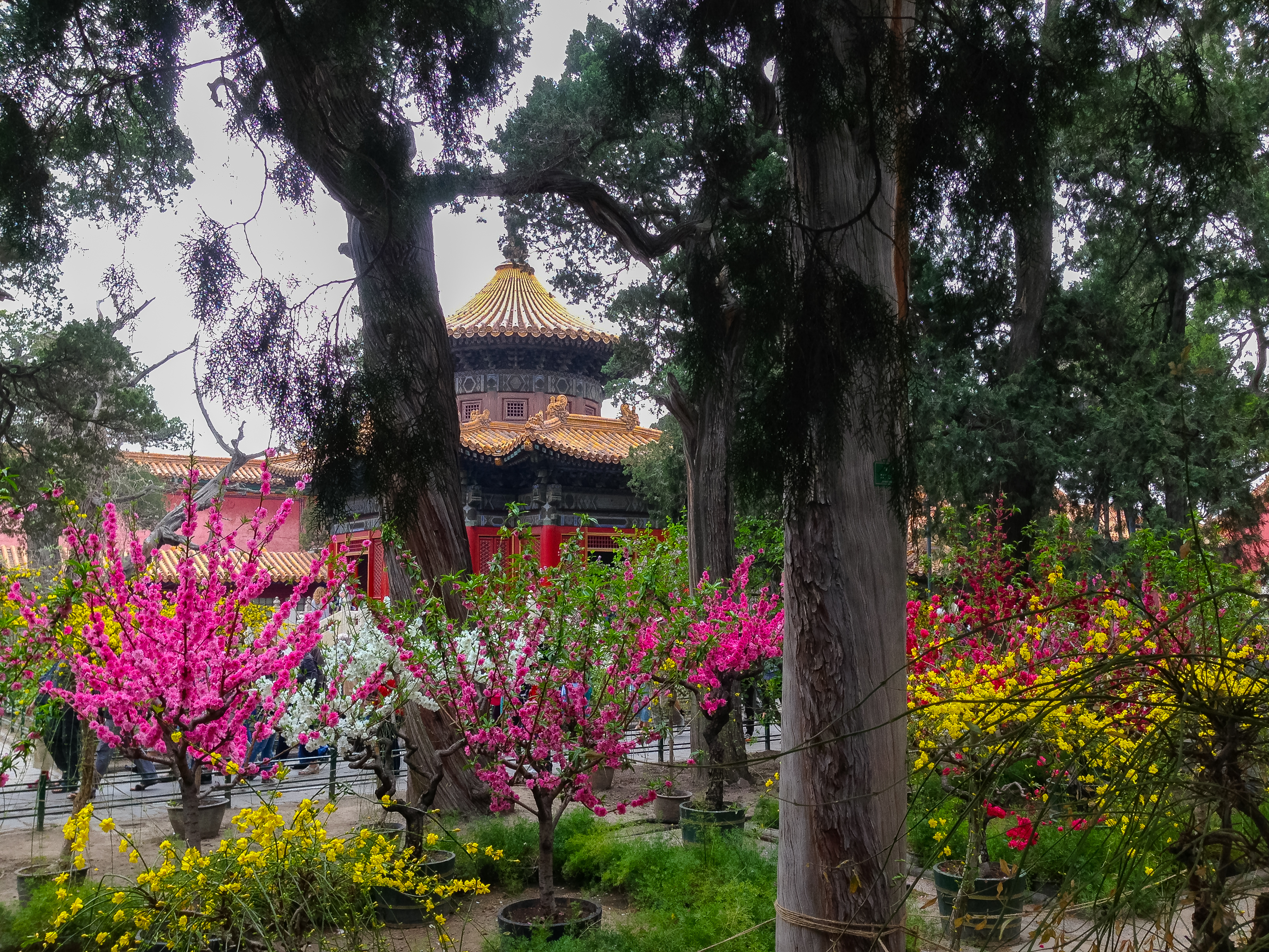 Explore the Forbidden City