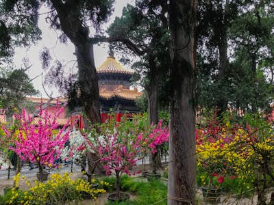 Explore the Forbidden City