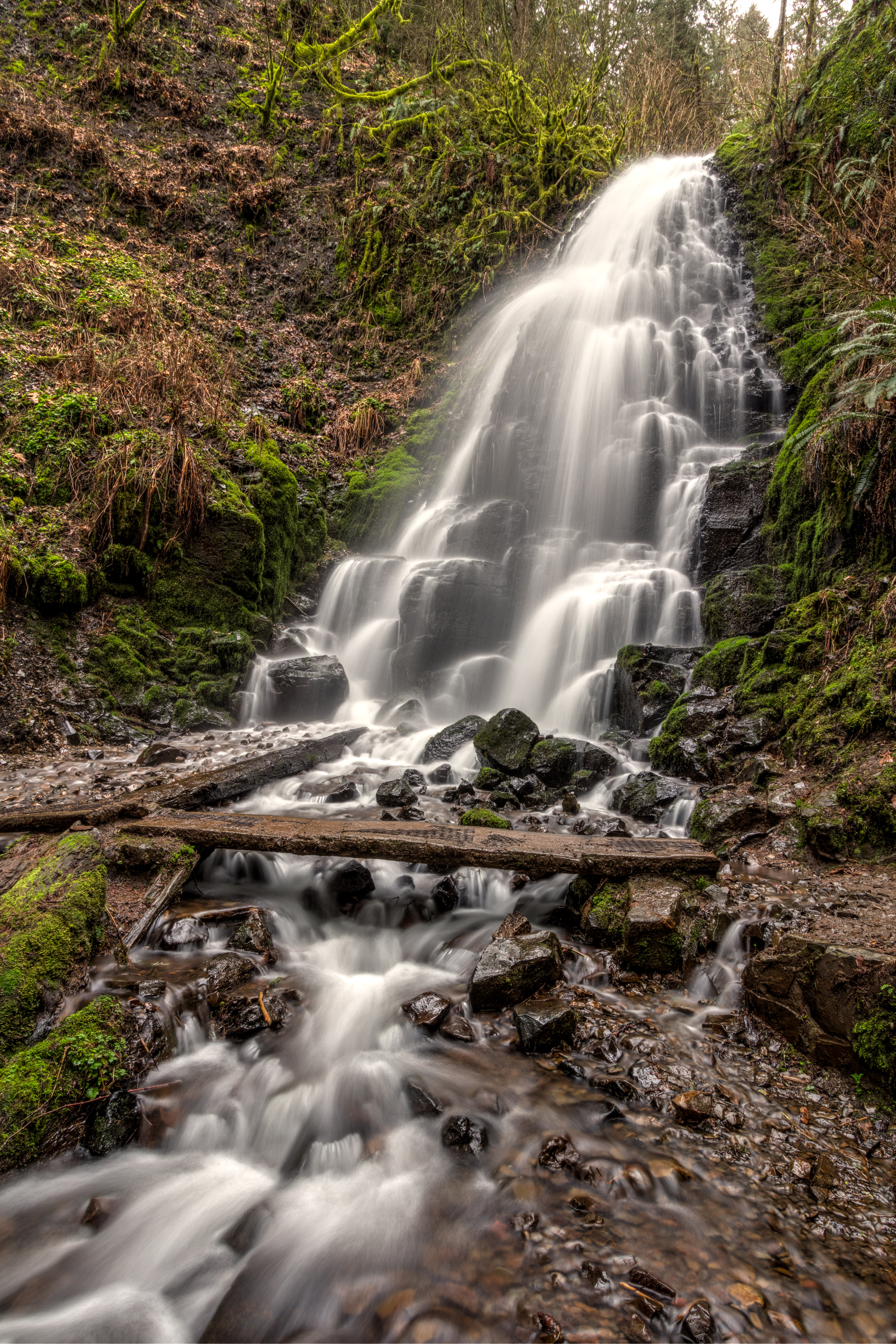 Devil's Rest-Wahkeena Falls Loop